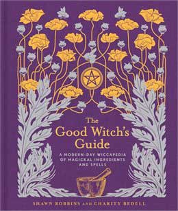 Good Witch's Guide by Robbins & Bedell - Click Image to Close