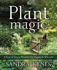 Plant Magic by Sandra Kynes - Click Image to Close