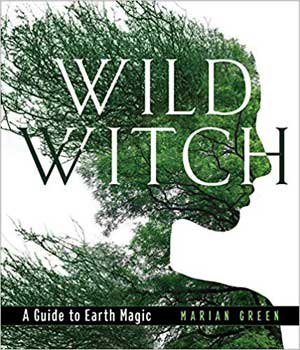 Wild Witch, Earth Magic (hc) by Marian Green - Click Image to Close