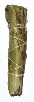 4" Eucalyptus Citridora smudge stick - Click Image to Close