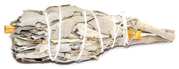 4" Sage & Palo Santo smudge (not bagged) - Click Image to Close