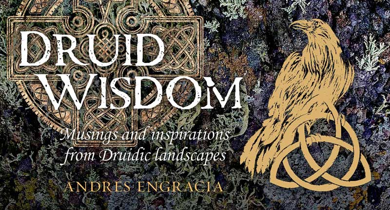 Druid Wisdom cards by Andres Engracia