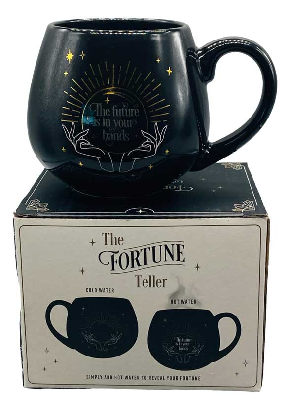 3 3/4" Fortune Teller mug - Click Image to Close