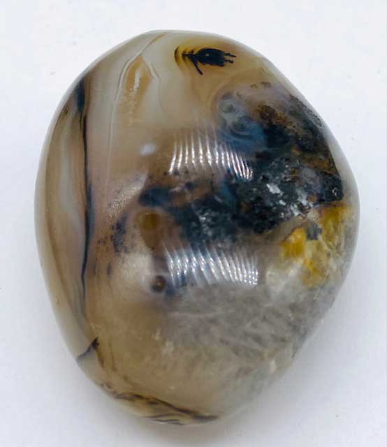 Agate, Dendritic palm stone - Click Image to Close