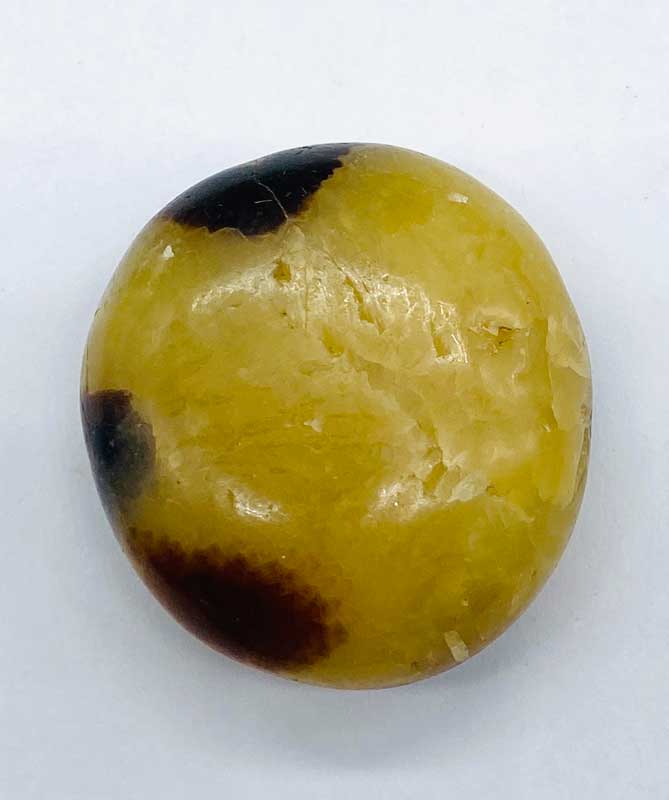 Jasper,Septarian palm stone