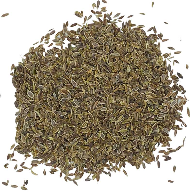 Dill Seed whole 1oz - Click Image to Close