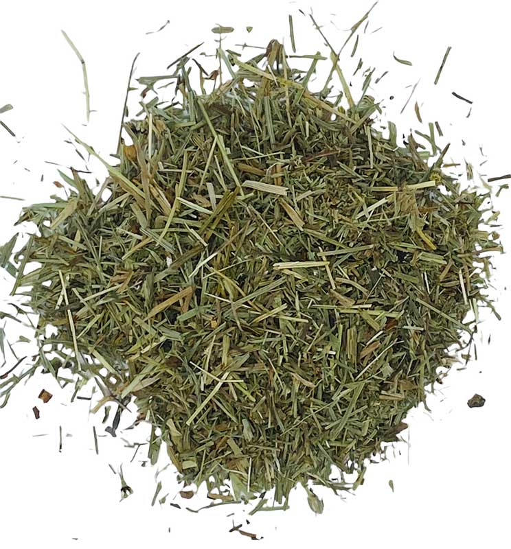 1 Lb Shavegrass cut wild crafted (horsetail)
