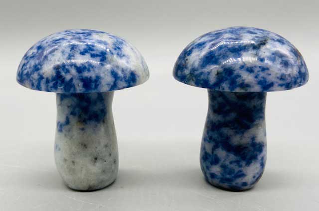(set of 2) 1 3/4" Mushroom Sodalite